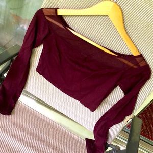 Mesh Neckline Long-Sleeve Crop Top